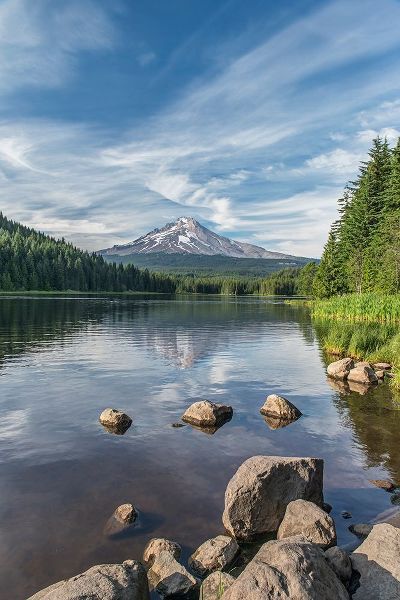 Tilley, Rob 아티스트의 Oregon-Mt Hood National Forest Trillium Lake and Mt Hood작품입니다.